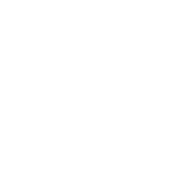 Action Foundation