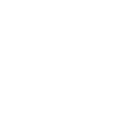 Global Lingo