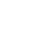 Ripple Technology Solutions