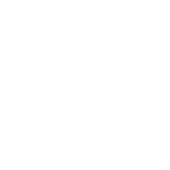 Visual Evolution